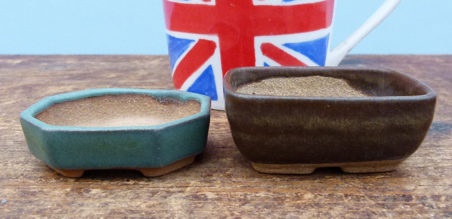 Walsall studios pots