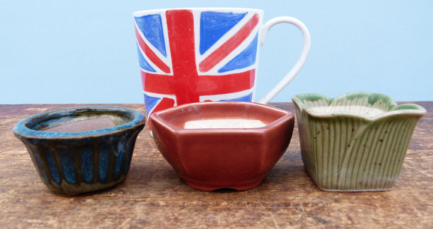 Miniature Glazed Small Bonsai Pots - Group of 5 Pots - CLEARANCE