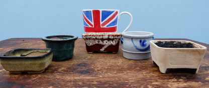 Miniature Glazed Small Bonsai Pots - Group of 5 Pots - CLEARANCE