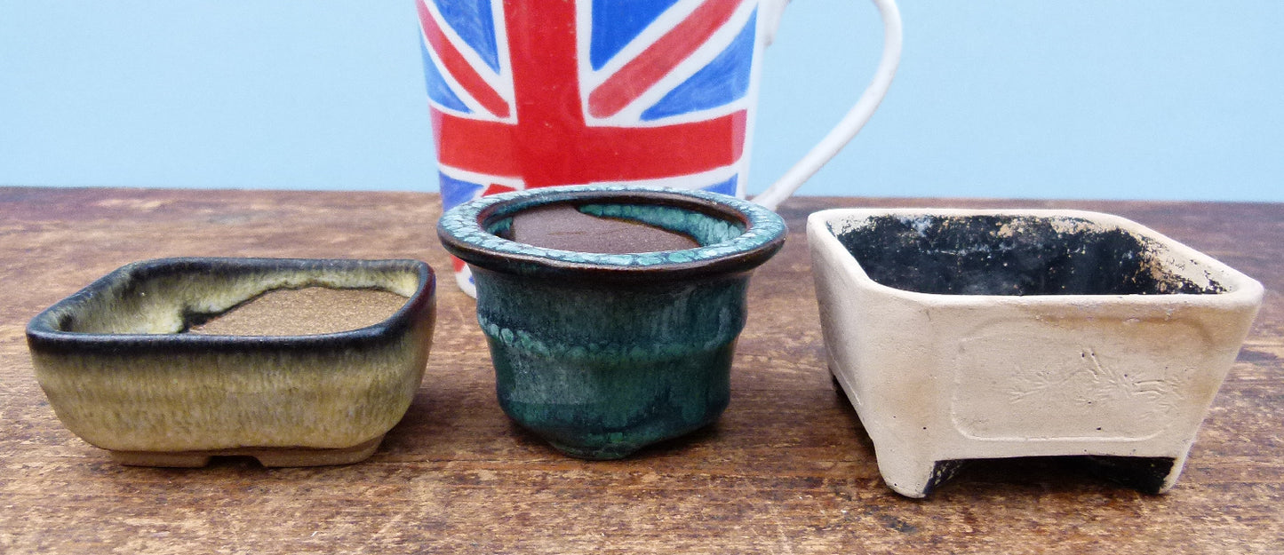 Miniature Glazed Small Bonsai Pots - Group of 5 Pots - CLEARANCE