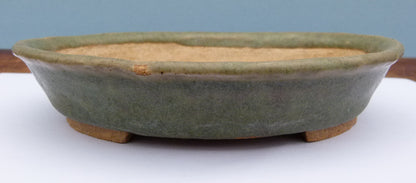 Japanese Tokoname Glazed Oval Shohin Bonsai Pot - USED