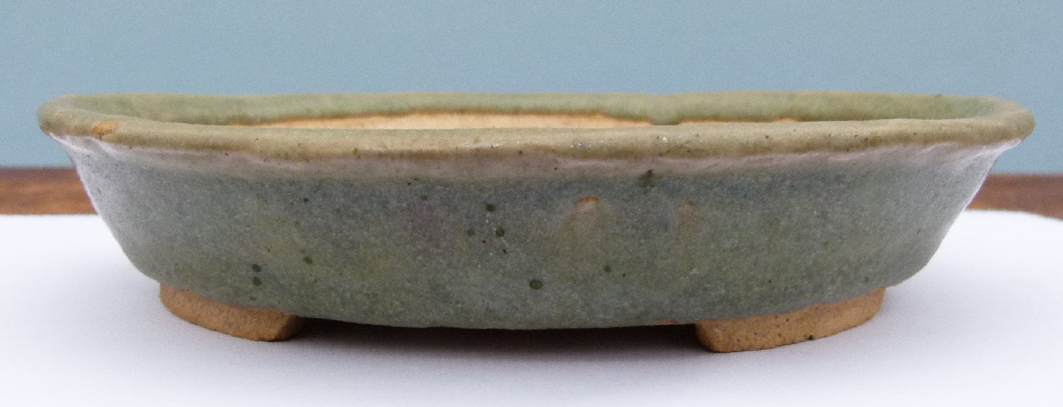 Japanese Tokoname Glazed Oval Shohin Bonsai Pot - USED