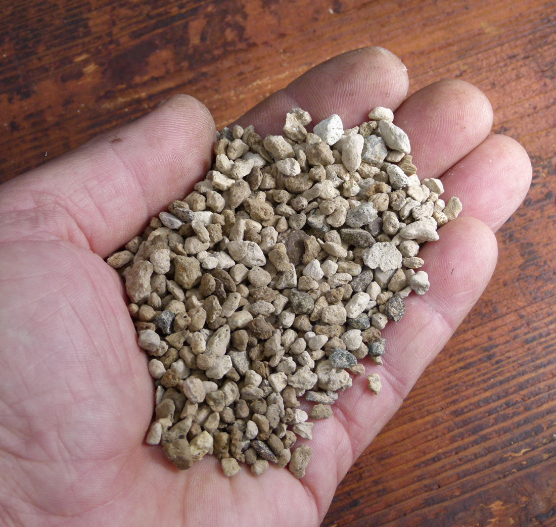 succulent pumice soil Pumice Volcanic Horticultural Media - Bonsai & Alpine Soil