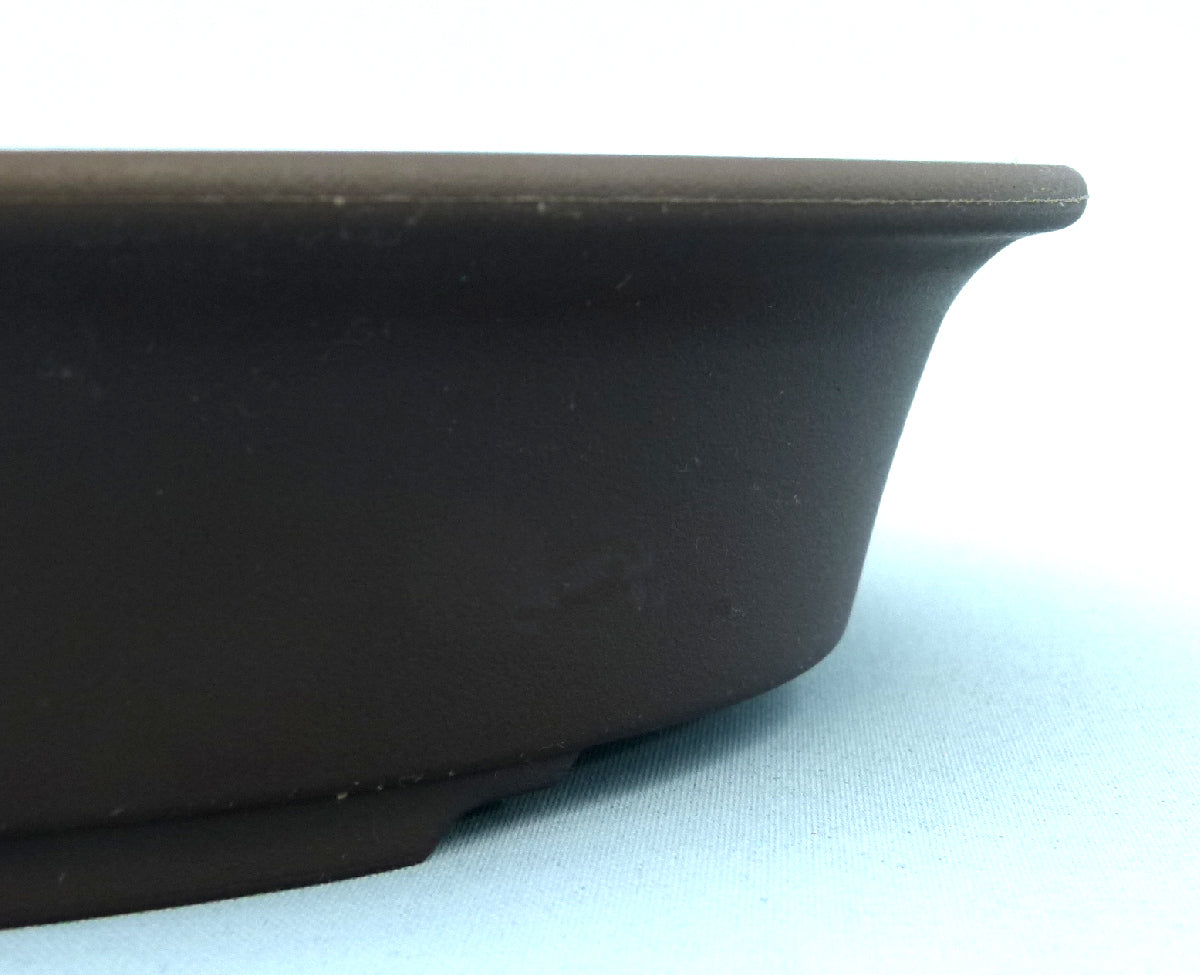 Shallow oval shaped plastic bonsai pot - Various sizes.