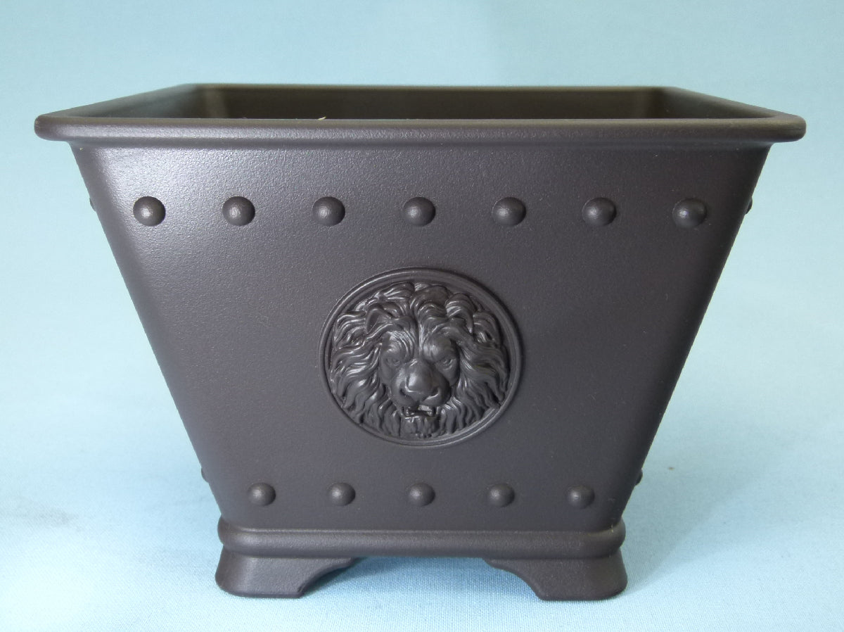 Plastic Bonsai Pots - Great Value High Quality Bonsai Training Pot - 6"