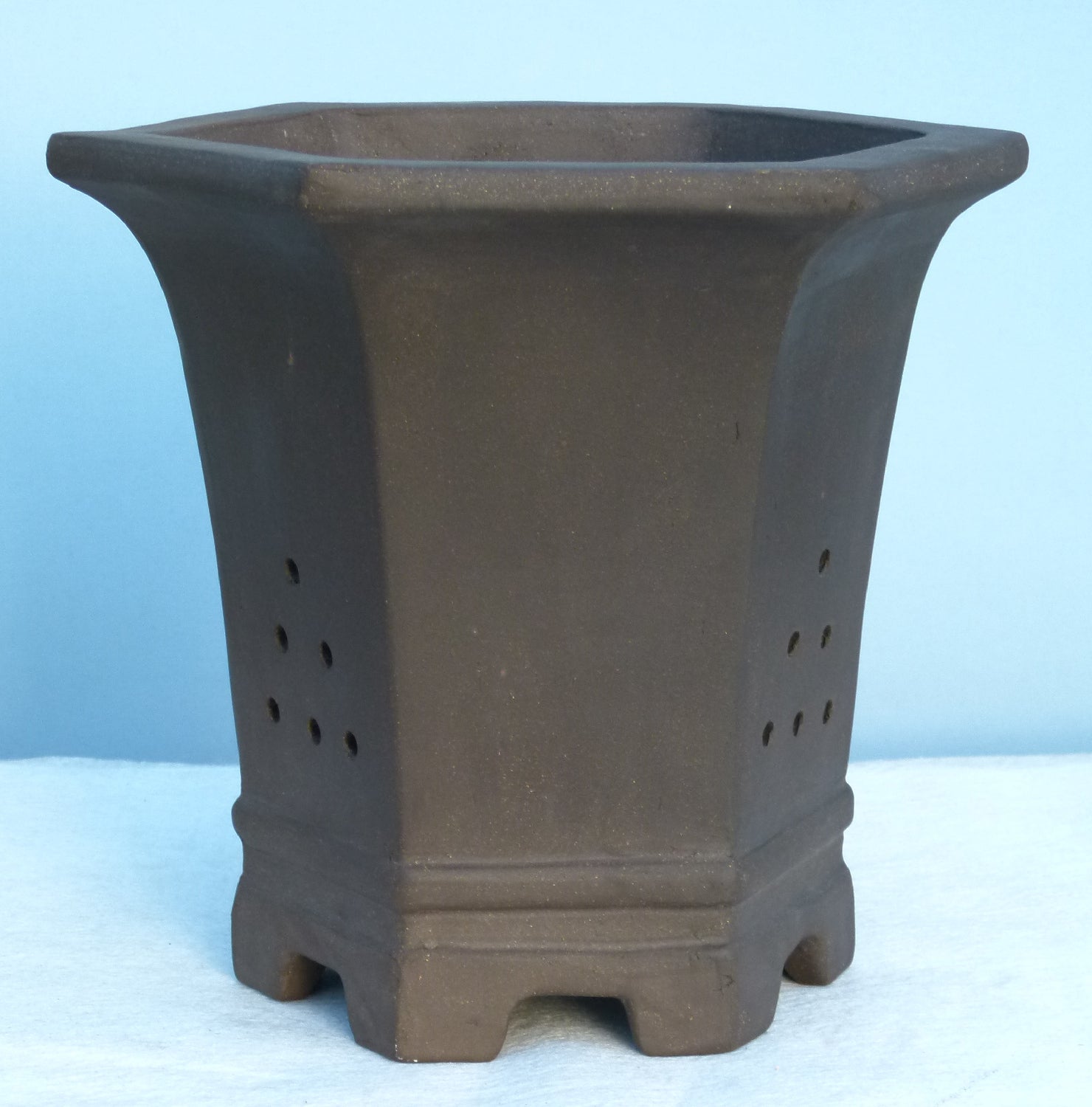 Bonsai Basics - Cascade Style Hexagonal Deep Unglazed Bonsai Pot 