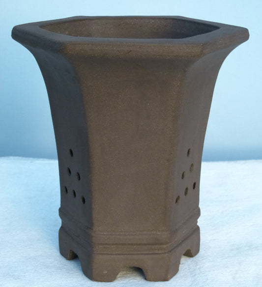 Bonsai Basics - Cascade Style Hexagonal Deep Unglazed Bonsai Pot 