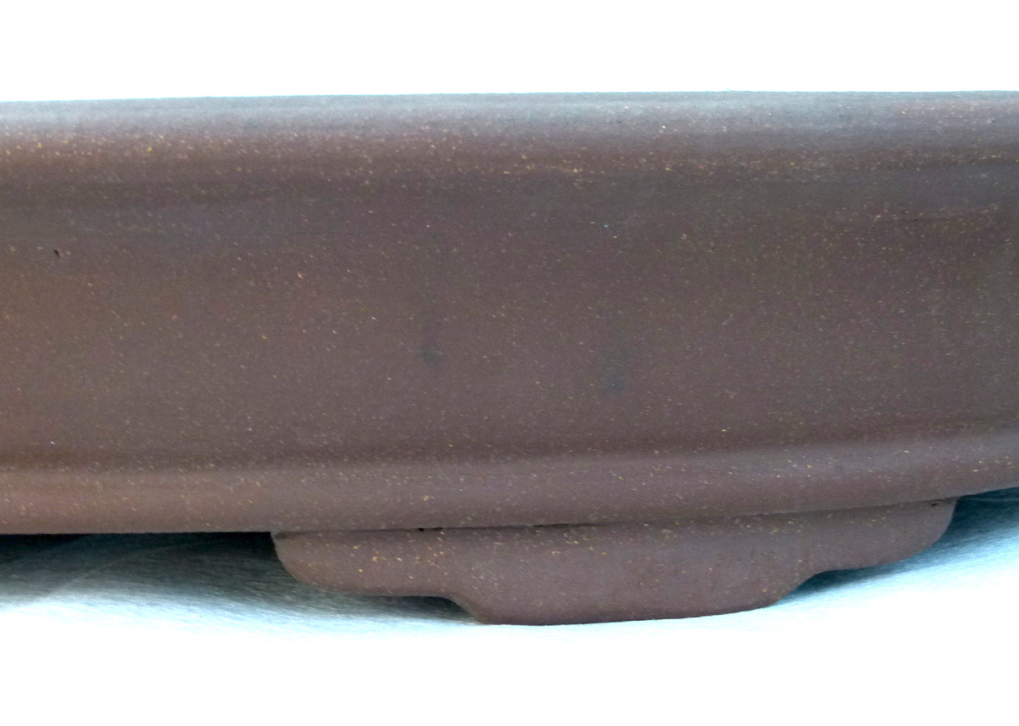 Bonsai Basics - Shallow Oval Unglazed Bonsai Pot