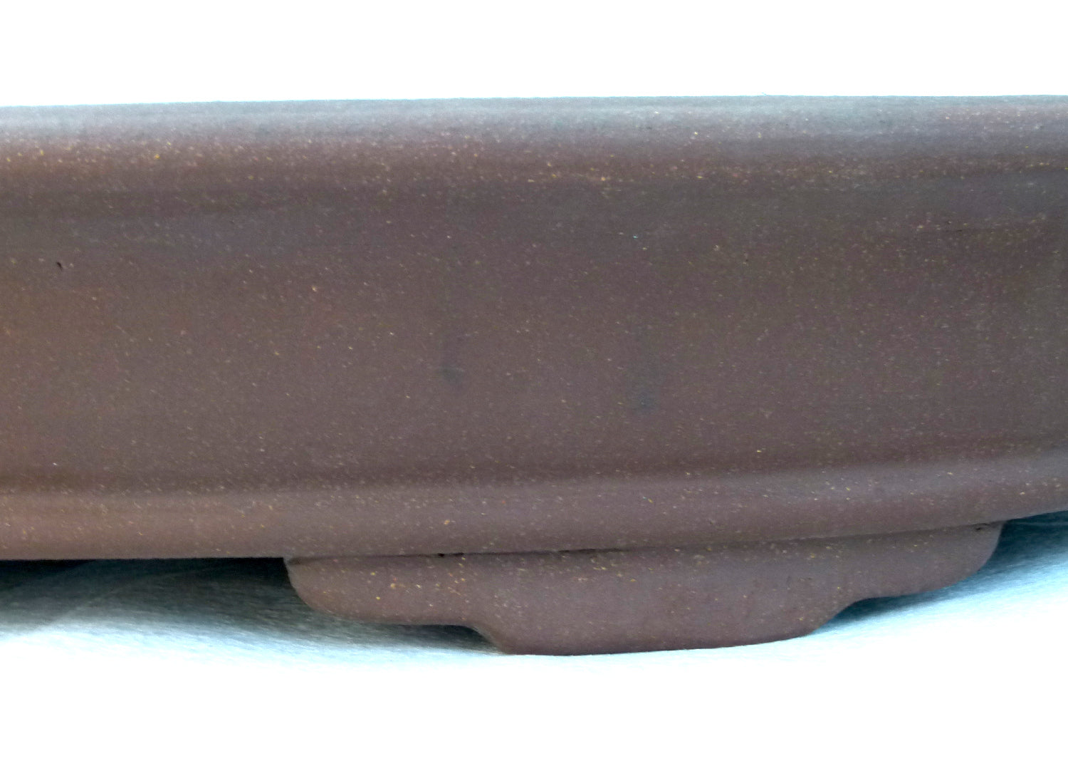 Bonsai Basics - Shallow Oval Unglazed Bonsai Pot