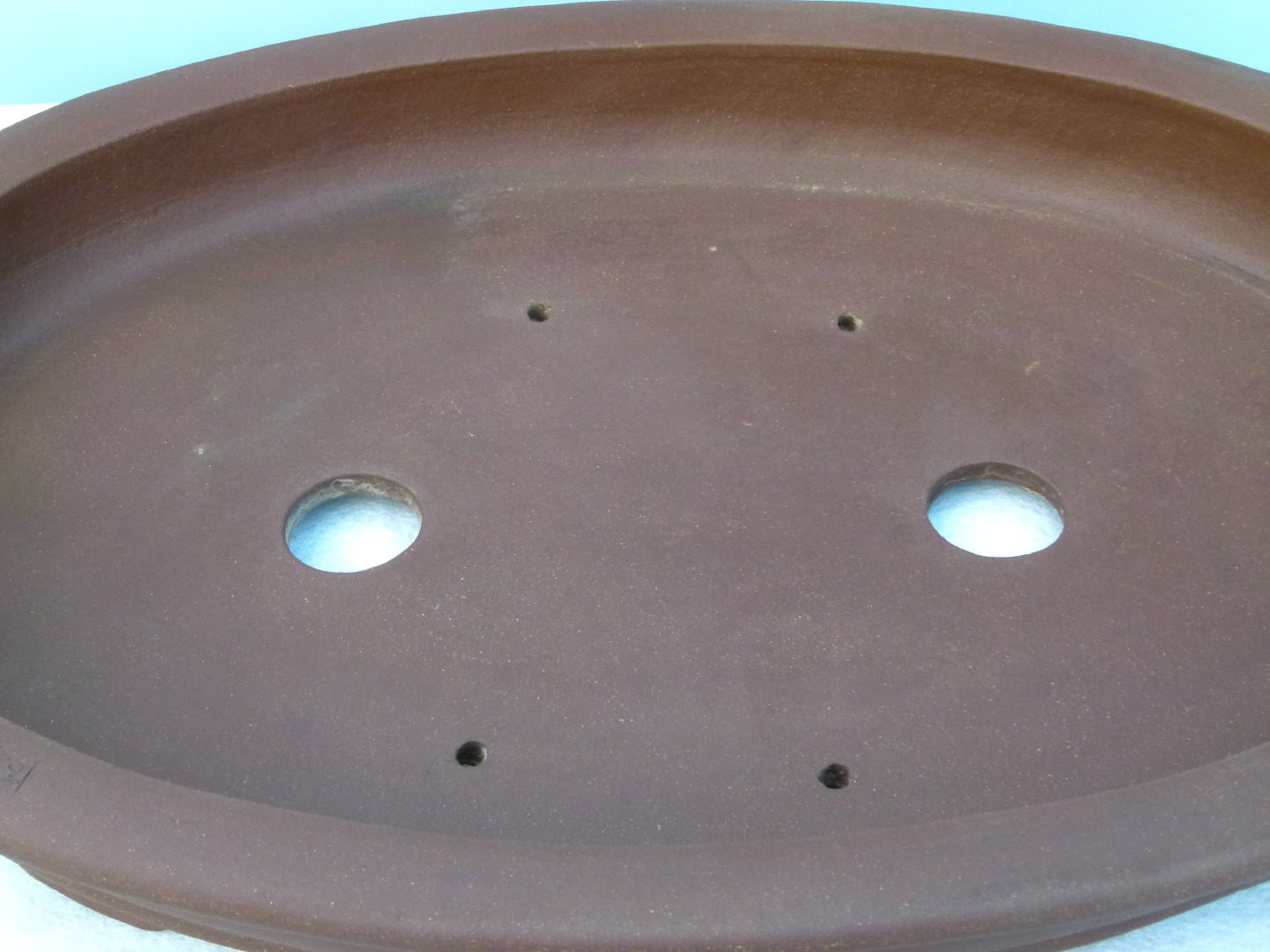 Bonsai Basics - Shallow Oval Unglazed Bonsai Pot