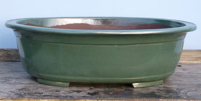 MASSIVE! Exhibition Quality Green Glazed Oval Bonsai Pot - 30"
