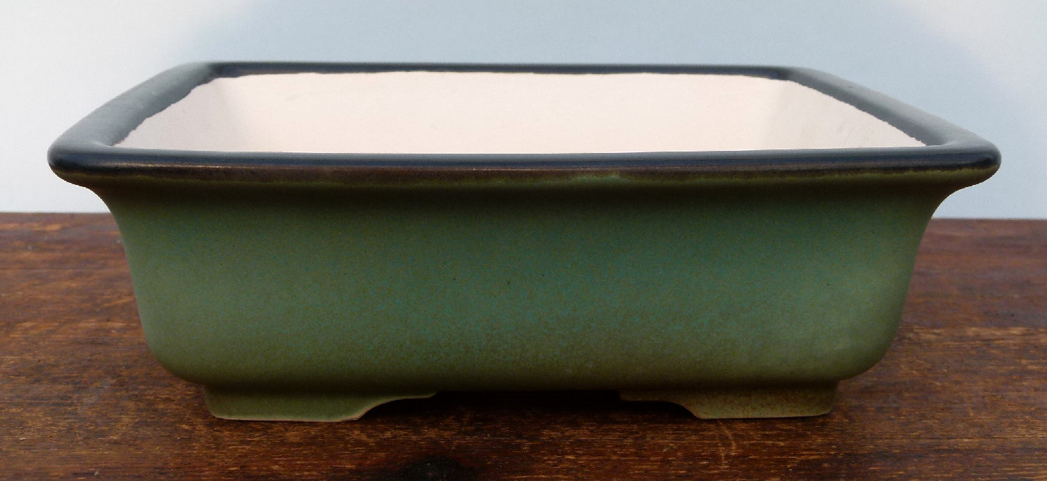 Exhibition Quality Glazed Square Bonsai Pot - 8.5"