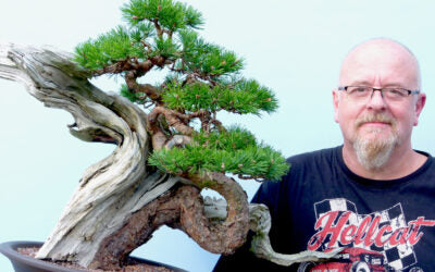 another bonsai video blog post Graham Potter