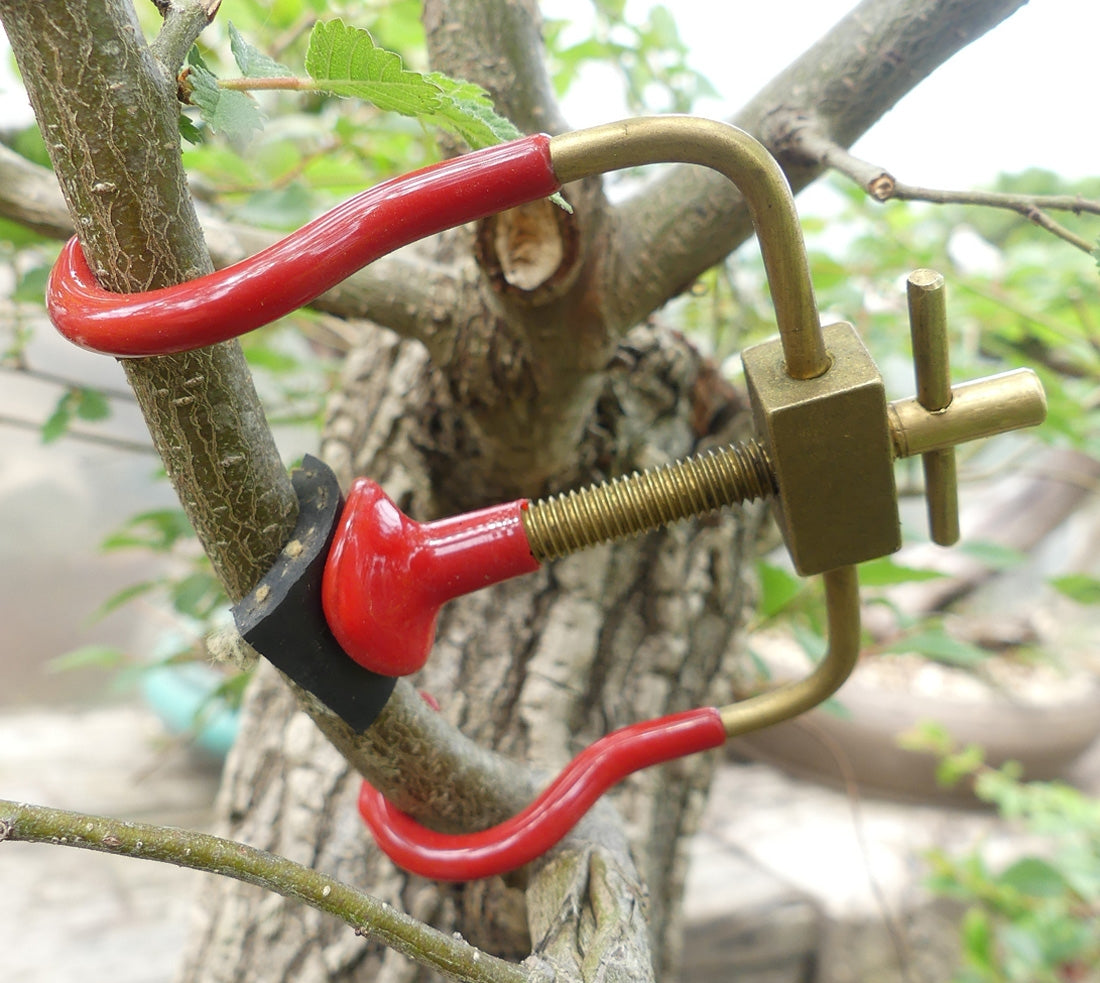Branch Bending Clamp - Medium Bonsai Jack  Kaizen Bonsai