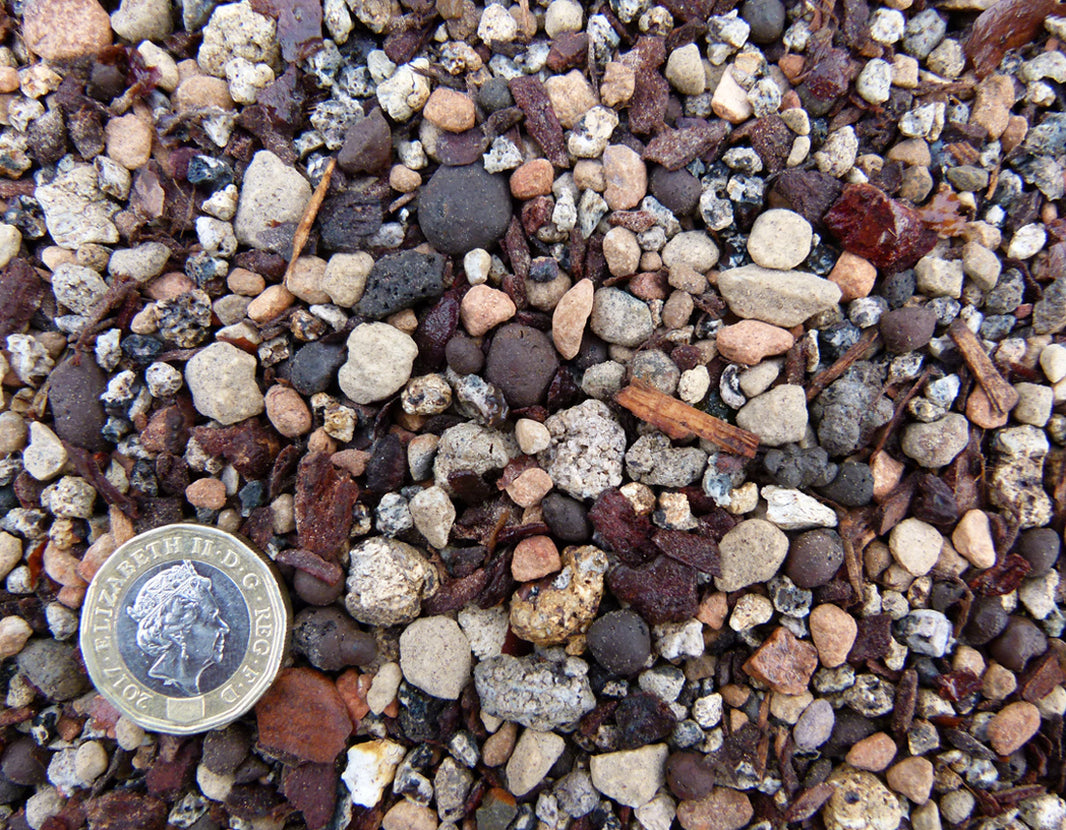 Buy Bonsai Soil Mix for Tree Potting from Kaizen Bonsai