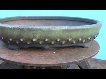 EXCEPTIONAL Oval Glazed Bonsai Pot by Master Zhu - 12"