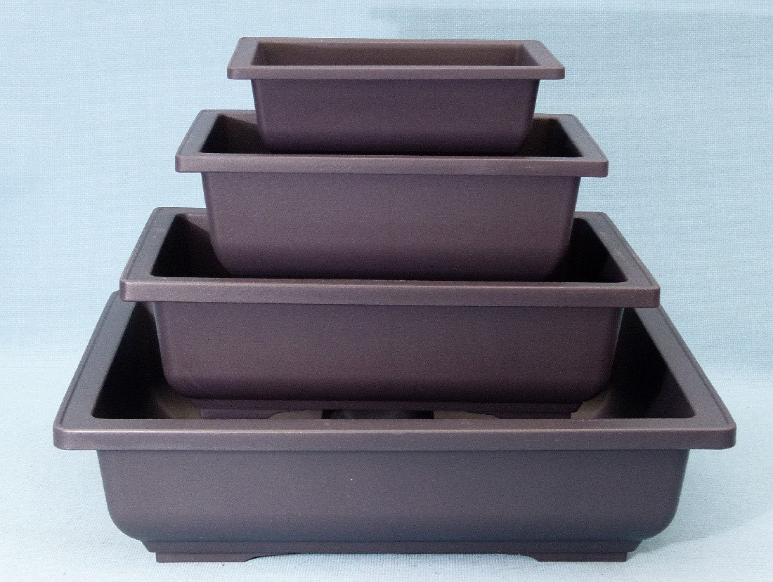 Rectangular Plastic Bonsai Training Pots 4 Sizes Kaizen Bonsai rectangular-plastic-bonsai-training-pots-4-sizes-kaizen-bonsai