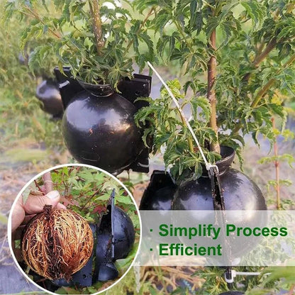 Plant Rooting Ball Air Layering Pods - Large