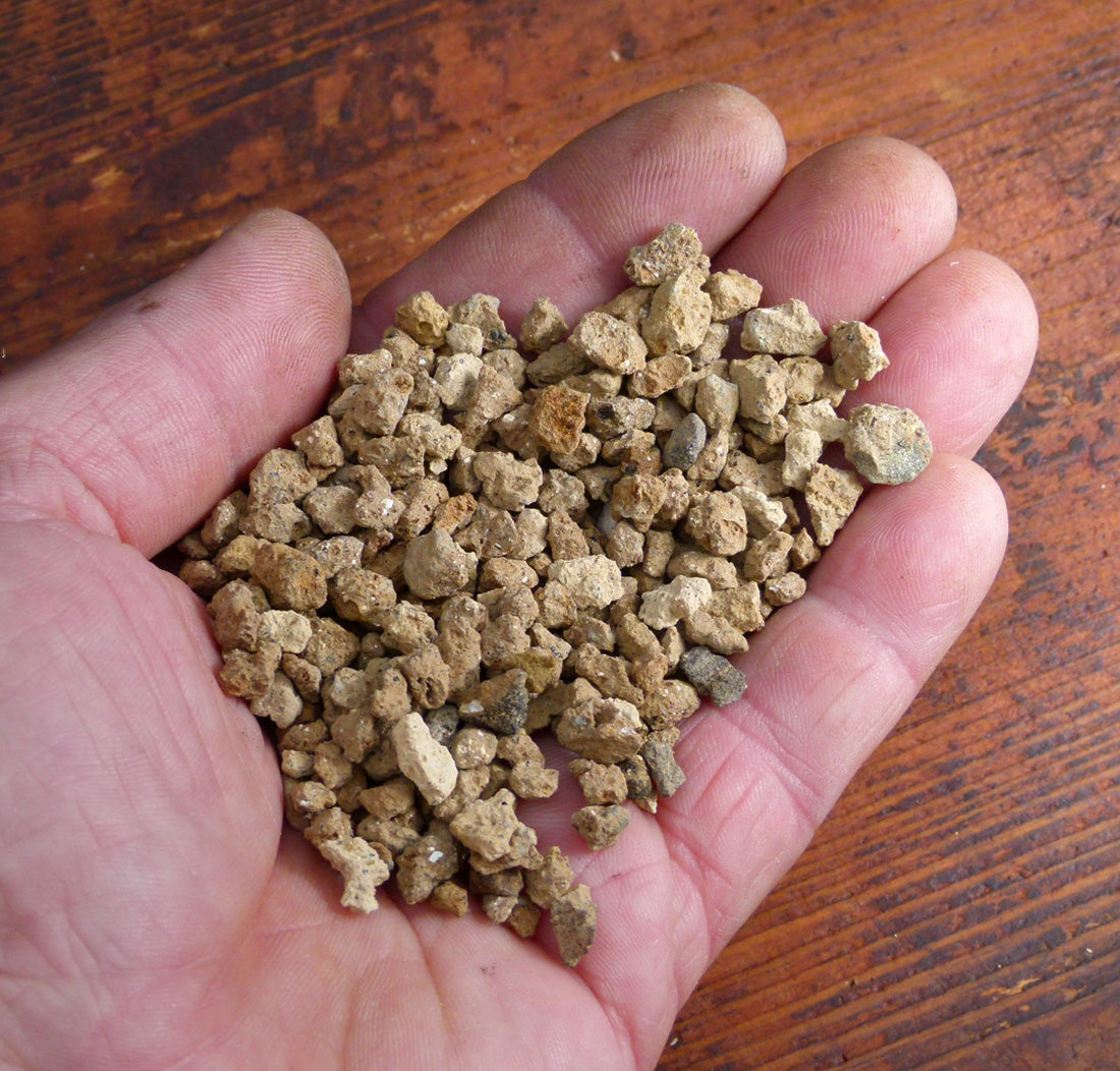 zeolite for succulents Zeolite Volcanic Horticultural & Bonsai Tree Growing Media
