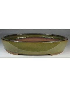 Olive Glazed Oval Bonsai Pot - 10"