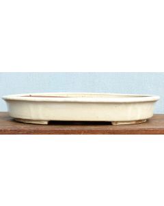 Cream Glazed Oval Bonsai Pot - 22"