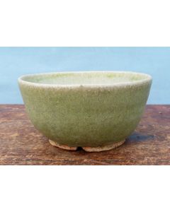 Japanese Cream Glazed Bonsai Pot 8" -  NEW SECOND