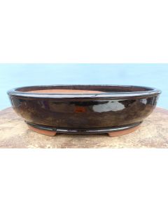 Black Glazed Oval Bonsai Pot - 15" - LAST ONE