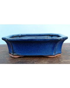 Blue Glazed Rectangle Bonsai Pot - 8" - Colour can vary to some degree from that shown.
