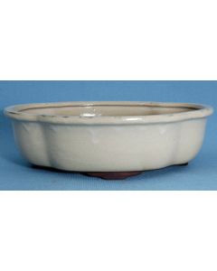 Bonsai Basics Cream Glazed Oval Bonsai Pot - 12"