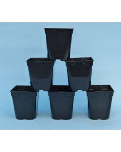 Square Plastic Nursery Pots 1 Litre - Bonsai Starter Pots - 6 x Pack