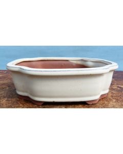 Bonsai Basics Cream Glazed Rectangular Bonsai Pot - 8"