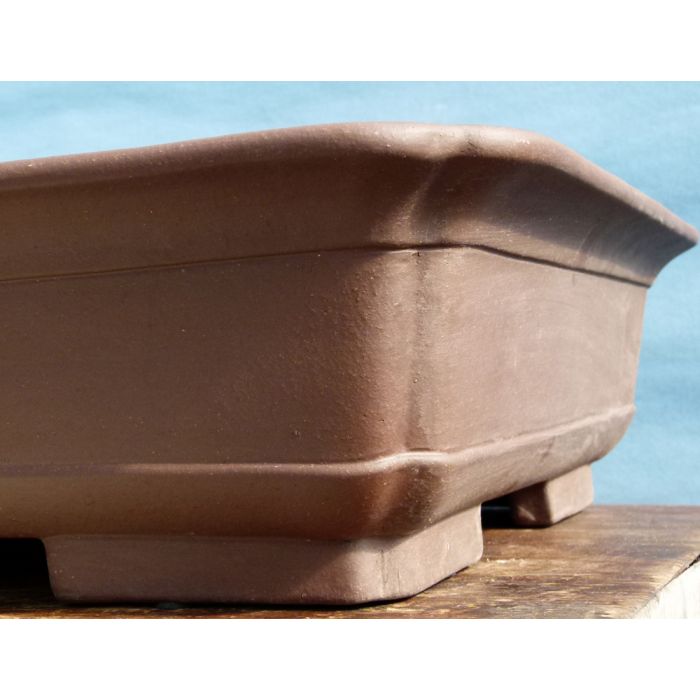 Pot basic classic rectangle - 25 cm avec plateau Mistral Bonsai