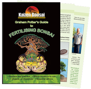 Free Guide to fertilising bonsai