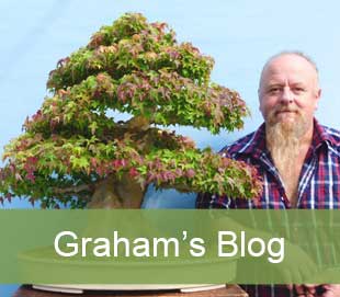 Graham's Blog