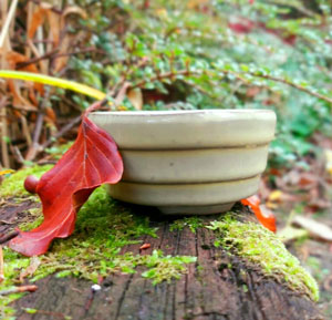 Nice thin walled mame bonsai pots