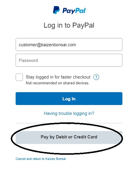 paypal without an account
